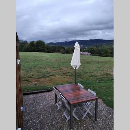 Studio De Jardin Cosy Avec Vue Panoramique Villa Neuvillers-sur-Fave Eksteriør bilde